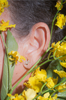 Trickster bunny diamond stud earrings 14k yellow gold