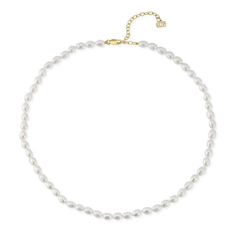 Rotunda Choker